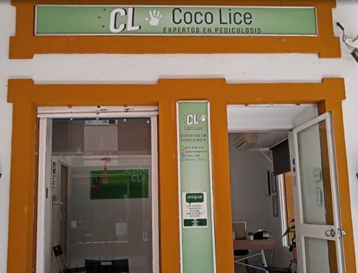 Centro de eliminación de piojos Coco Lice, en Triana (Sevilla)