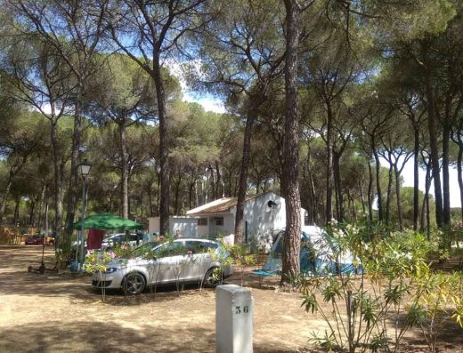 Camping Doñarrayán Park
