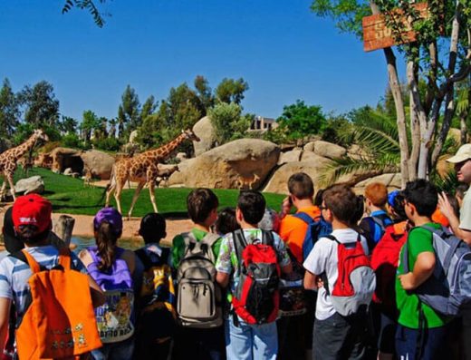 Bioparc Valencia es un parque zoológico dedicado a la conservación de especies tropicales del continente africano.